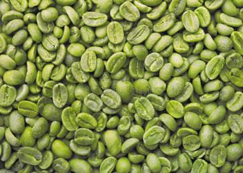 green coffee bean
