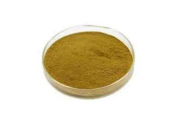 Broccoli Sprout Extract Powder