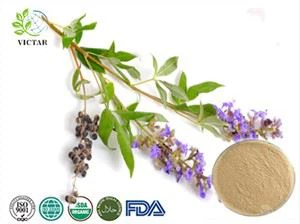 チェストベリーエキス